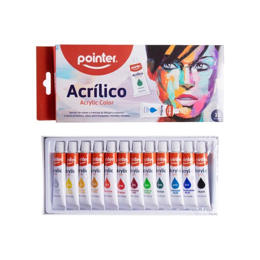 PINTURA ACRILICA X 12 POINTER