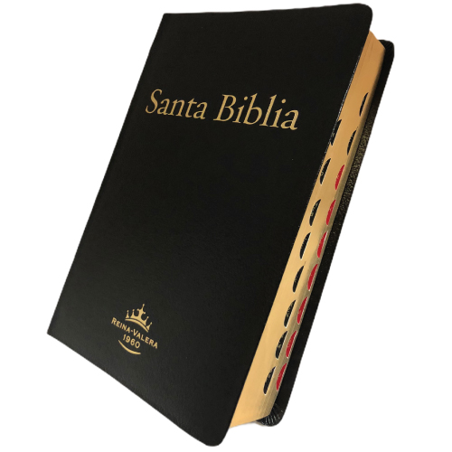 BIBLIA LETRA GRANDE CON INDICE. RV1960