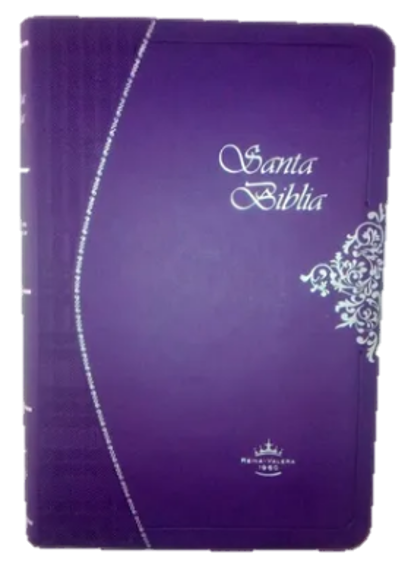 BIBLIA MORADA DE LUJO PLATEADA. RV1960