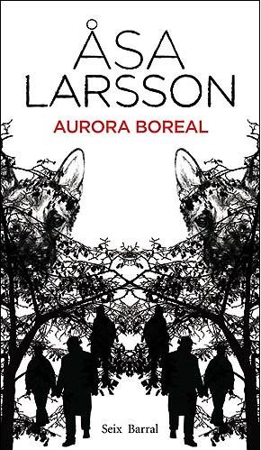 AURORA BOREAL